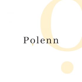 Logo Polenn, facilitateur digital